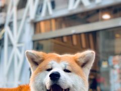 -YCHL Studios健身工作室(市二宫店)