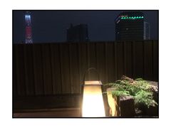 -东京塔海贼王主题公园