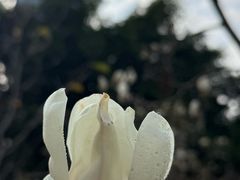 -南宁南湖公园