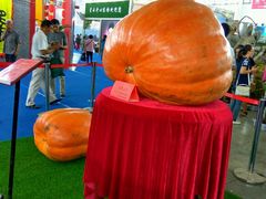 -沈阳国际会展中心管理有限公司