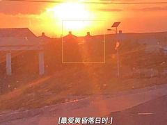 -希拉穆仁草原