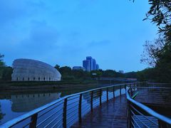 -上海吴淞炮台湾国家湿地公园