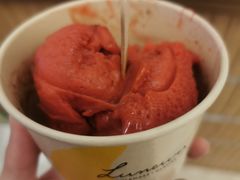 树莓雪葩-LUNEURS月乐诗·法式冰淇淋(环贸店)