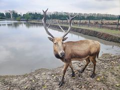 -溱湖国家湿地公园