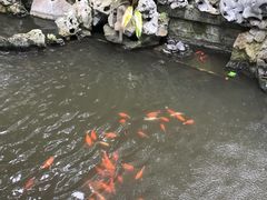-普陀山风景名胜区-法雨禅寺
