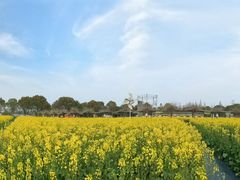 -金稼园·金平湖农家菜