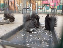 -萌宠亲子动物乐园(槐房万达店)