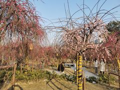 -杭州半山国家森林公园