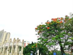 -珠江夜游广州塔·中大码头