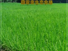 -迪茵湖田家舍生态农场