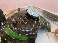 -喵宠乐园·撸猫互动·猫舍