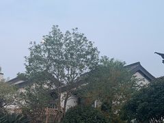 -春色如许·茶食餐厅(桃李春风店)