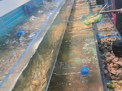 -王潮活海鲜自助·蒸汽海鲜