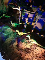 -恐龙探索乐园(磁器口店)