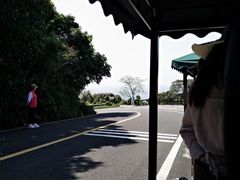 -海南铜鼓岭景区