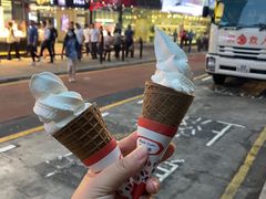-富豪雪糕车流动点(尖沙咀店)