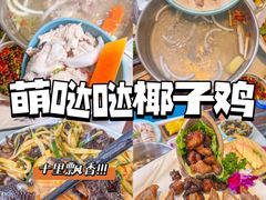 -椰梦长廊