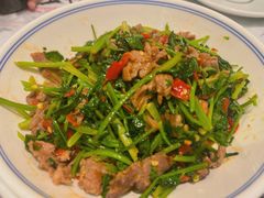 -壹盏灯(惠农店)