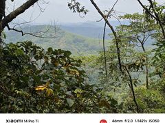 -黄埔油麻山森林公园