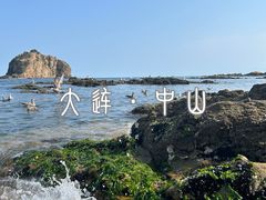 -棒棰岛宾馆景区