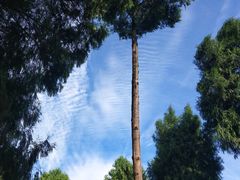 -仙海旅游度假区