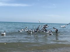 -青海湖二郎剑景区