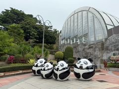 -石排湾郊野公园