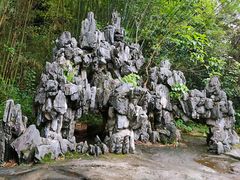 -大屏嶂森林公园