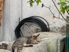 -沈家门渔港