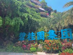 -碧桂园总部大楼