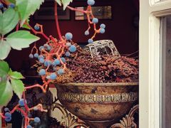 -长颈鹿咖啡(大学路店)