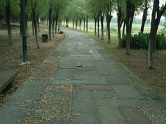 -艾溪湖湿地公园