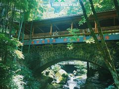 -藏龙百瀑风景区