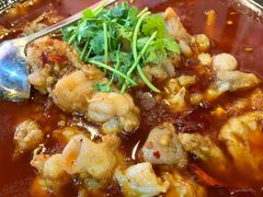 石锅牛蛙-虎虎龙虾大排档(双井店)