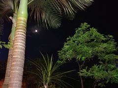 -阿细汉菜(本地盐帮菜名店)