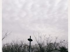-洨河生态公园