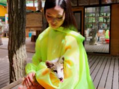 -宫城藏王狐狸村