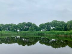 -西湖风景区-江洋畈生态公园