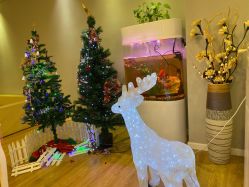 -纤姿俪纳产后恢复连锁机构(世纪东方广场店)