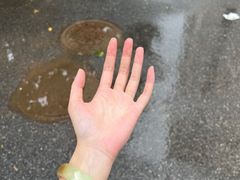 -海马体照相馆(大连罗斯福广场店)