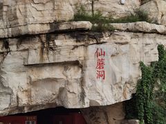 -仙蘑洞