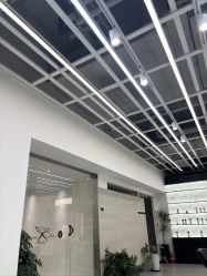 -蚂蚁造型俱乐部