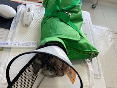 -瑞派福兴宠物医院犬猫全科·骨科·中西医结合(河东店)