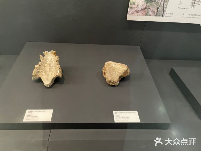 北京周口店北京人遗址博物馆图片