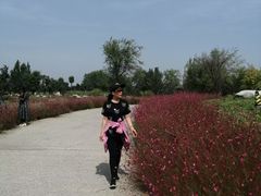 -汉长安城未央宫国家考古遗址公园