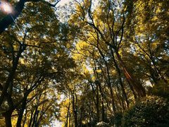 -上海市保健医疗中心