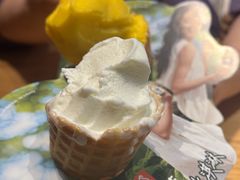-野人先生现做冰淇淋(北京顺义祥云小镇店)