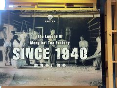 -大益茶庭(勐海会员中心店)