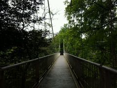 -保利石象湖景区