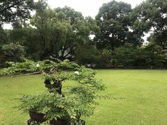 -申粤轩酒楼·三十年粤菜经典(丁香花园店)